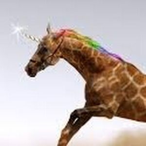 Meet your Posher, Sophia